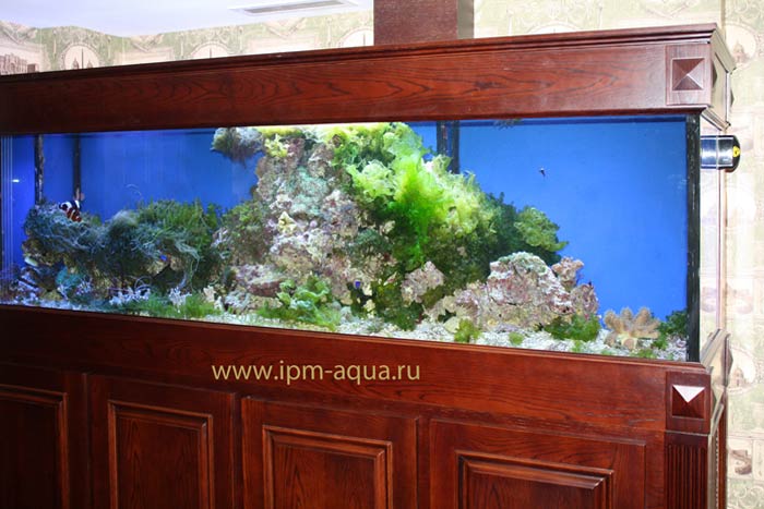 аквариум 1500 литров